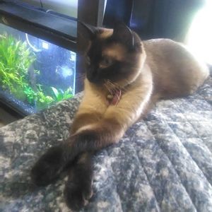 Meet your Posher, Zerøh